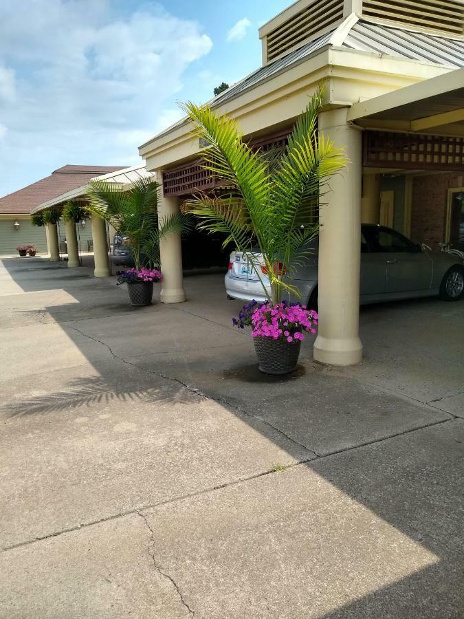 Southern Comfort Suites Mayfield エクステリア 写真