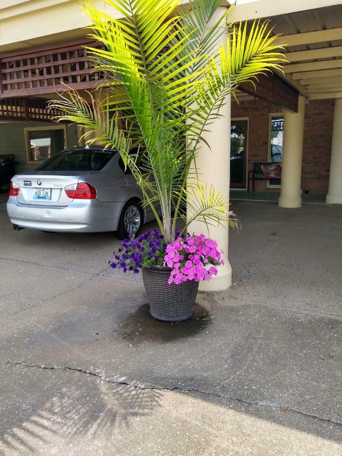 Southern Comfort Suites Mayfield エクステリア 写真