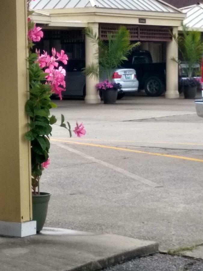 Southern Comfort Suites Mayfield エクステリア 写真